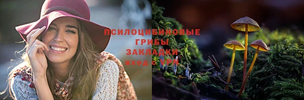 трава Верхний Тагил