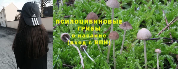 соль ск Нефтекумск