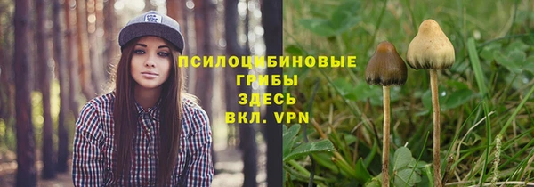трава Верхний Тагил